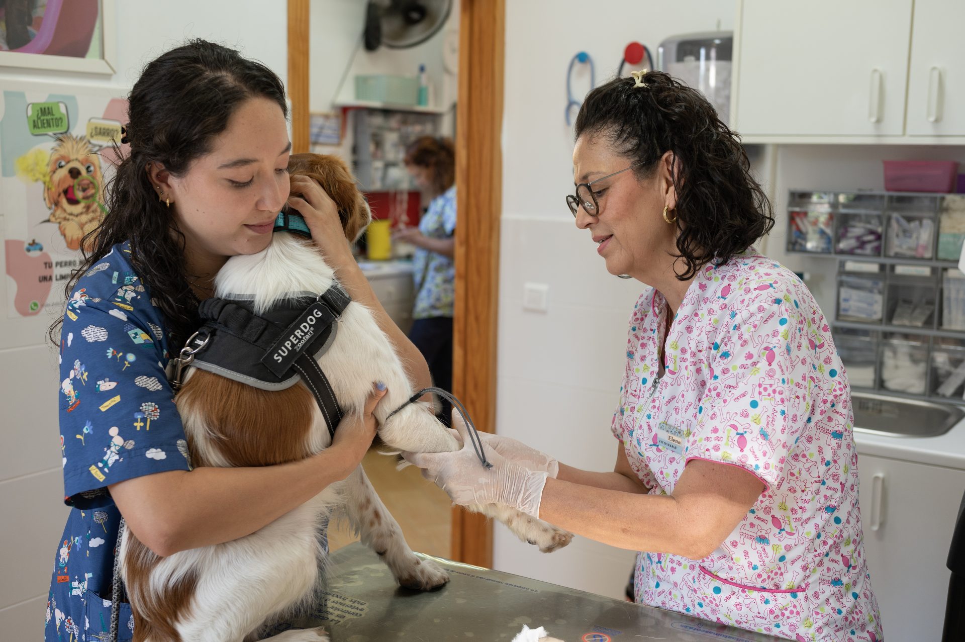 dos mujeres cuidando a un perro
